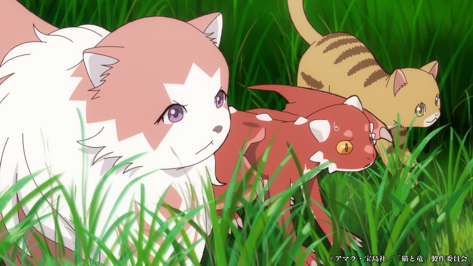 猫と竜』2026年7月放送決定！速水奨ら豪華キャスト＆PV解禁