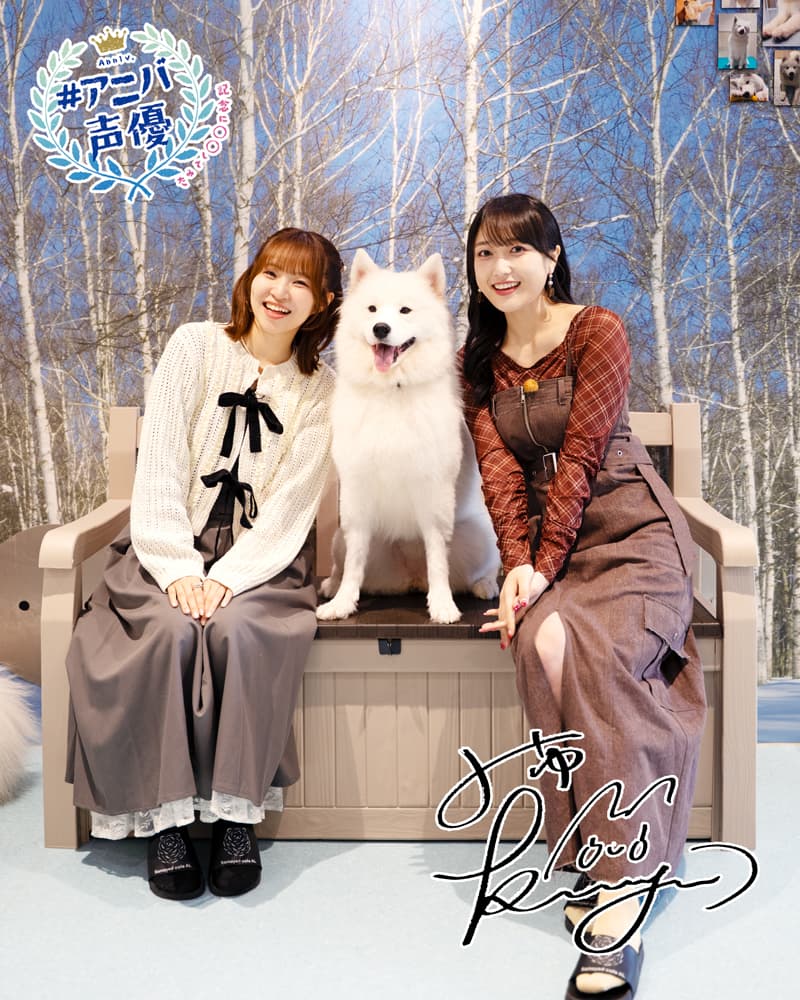 久保田未夢＆村上奈津実がサモエドと共演！【アニバ声優】